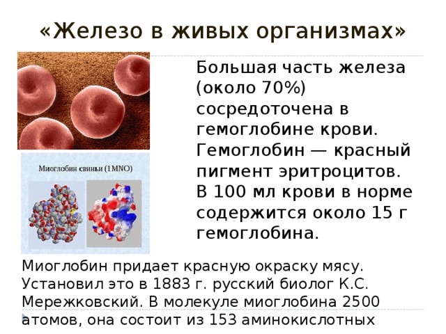 Железа гемоглобин. Железо в гемоглобине. Что содержится в гемоглобине крови железо. Железо в живых организмах. Кровь и железо.