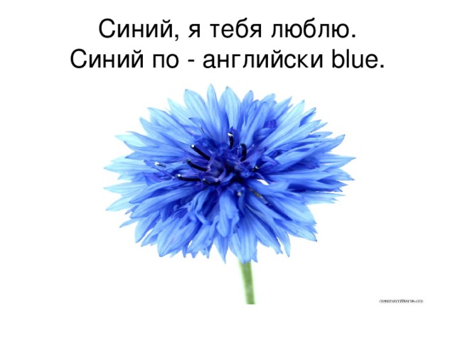 Синь на английском. Синий по английскому. Голубой на английском. Синий цвет на английском. Синий и голубой по английскому.