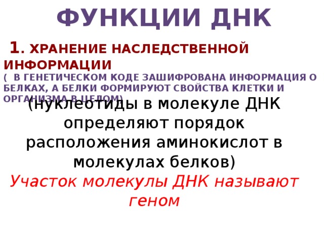 Хранение наследственной. Функции ДНК хранение наследственной информации. Когенетическая функция белков. Генетическая функция белков. Функции белков в генетике.