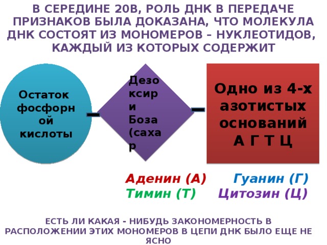 В некоторой молекуле днк на долю