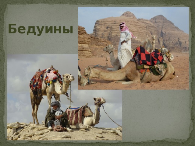 Главное занятие бедуинов. Основные занятия арабского народа. Бедуины негев. Основное занятие арабов бедуинов. Кочевник на верблюде.