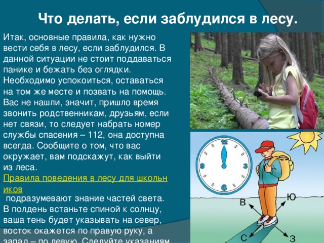 Что делать, если заблудился в лесу. Итак, основные правила, как нужно вести себя в лесу, если заблудился. В данной ситуации не стоит поддаваться панике и бежать без оглядки. Необходимо успокоиться, оставаться на том же месте и позвать на помощь. Вас не нашли, значит, пришло время звонить родственникам, друзьям, если нет связи, то следует набрать номер службы спасения – 112, она доступна всегда. Сообщите о том, что вас окружает, вам подскажут, как выйти из леса.  Правила поведения в лесу для школьников  подразумевают знание частей света. В полдень встаньте спиной к солнцу, ваша тень будет указывать на север, восток окажется по правую руку, а запад – по левую. Следуйте указаниям специалиста МЧС.