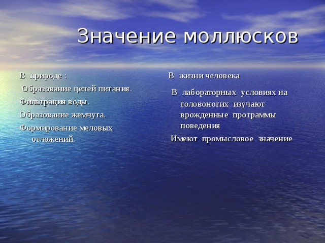 Роль моллюсков в жизни. Значение моллюсков в природе и жизни человека. Значение головоногих моллюсков в природе. Роль моллюсков в природе и в жизни человека. Головоногие значение в природе и жизни человека.