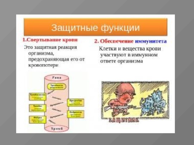 Защитную функцию выполняют белки. Защитная функция белков. Защитную функцию выполняют белки. Специфические и неспецифические защитные функции крови. Защитная функция белков заключается в.