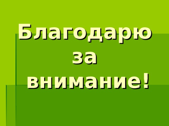 Благодарю за  внимание!