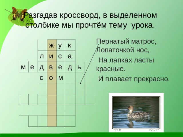 Кожа кроссворд. Разгадай кроссворд. Кроссворд на тему животные 2 класс окружающий мир презентация. Кроссворд на тему какие бывают животные. Разгадай кроссворд то что растет на огороде.