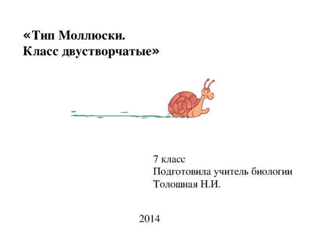 Тест по биологии 7 класс двустворчатые моллюски