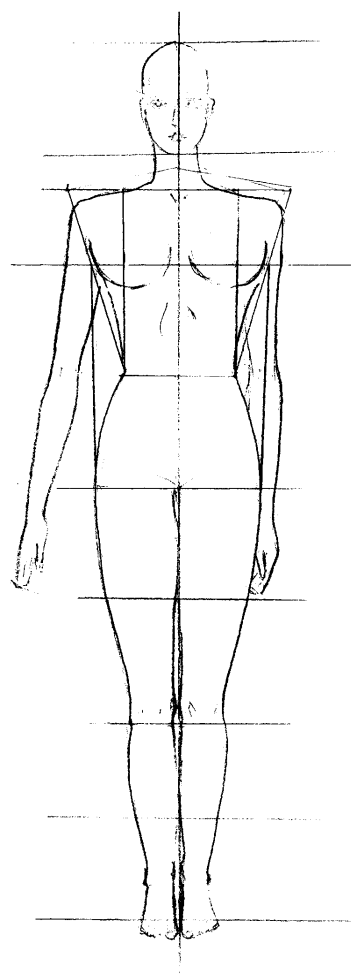 Схема женщины. Условно пропорциональная фигура. Торс женщины схема. Женская фигура рисунок пропорциональный. Условно-пропорциональная схема женской фигуры.